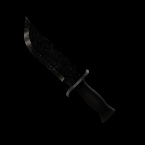 Coal