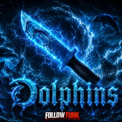 Dolphins - FollowTurk
