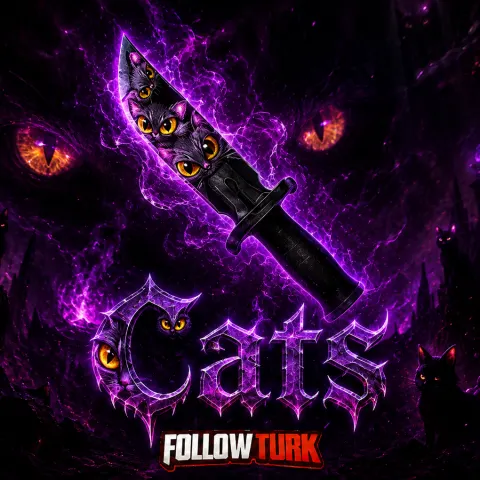 Cats - FollowTurk
