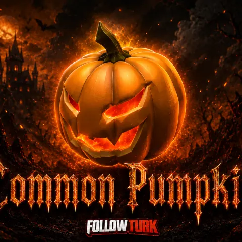 Common Pumpkin - FollowTurk