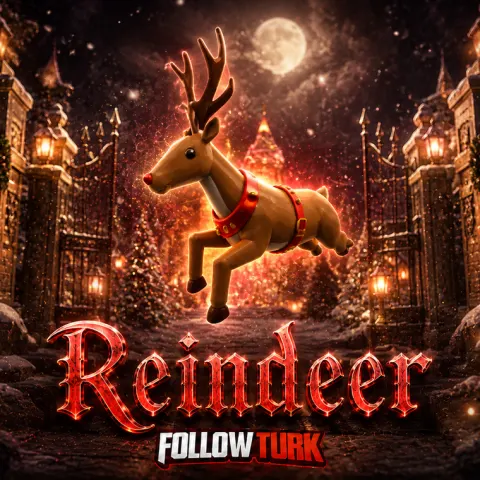 Reindeer - FollowTurk