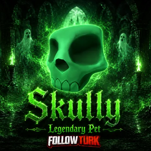 Skully - FollowTurk