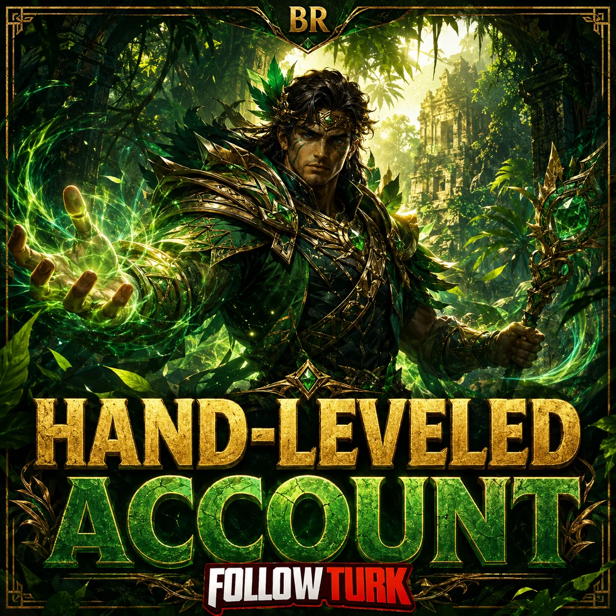 BR - Hand-Leveled Account - FollowTurk